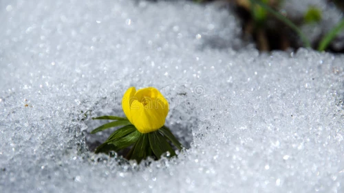 Fine Marzo, ancora freddo! Ma quando finisce? Da Venerdì aumento termico